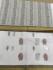 SAREES COIMBATORE WITH BLOUSE